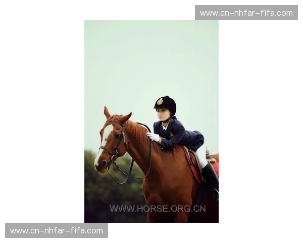 分析马术:解密马背世界的力量与优雅 分析马术:解密马背世界的力量与优雅